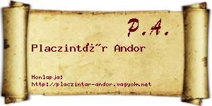 Placzintár Andor névjegykártya